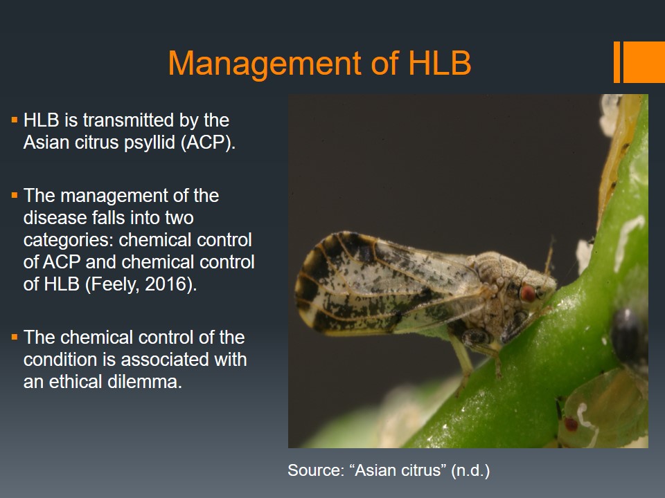 Management of HLB