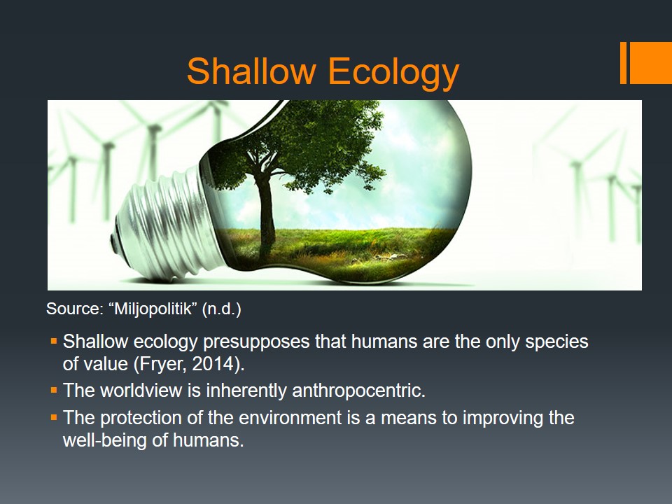 Shallow Ecology