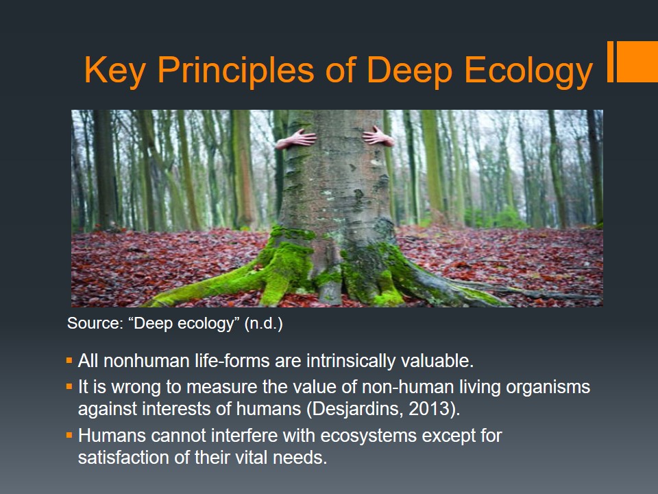 Key Principles of Deep Ecology