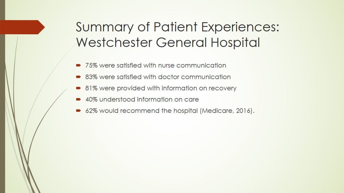 Summary of Patient Experiences: Westchester General Hospital