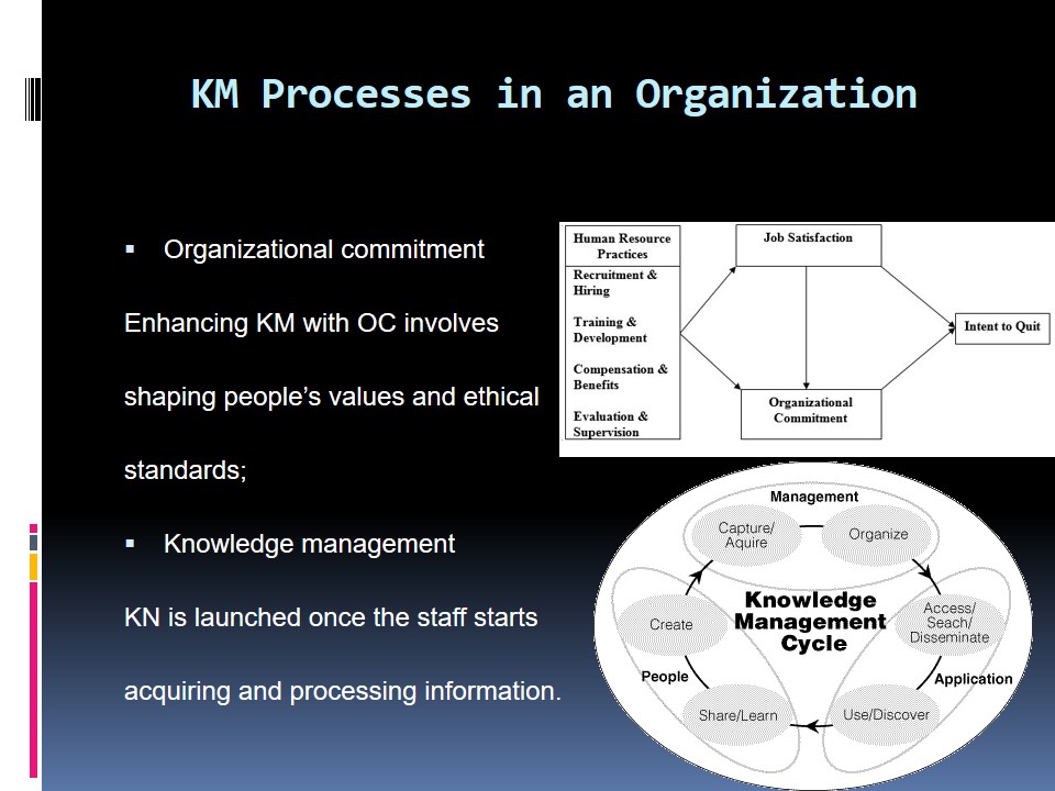 KM Processes in an Organization