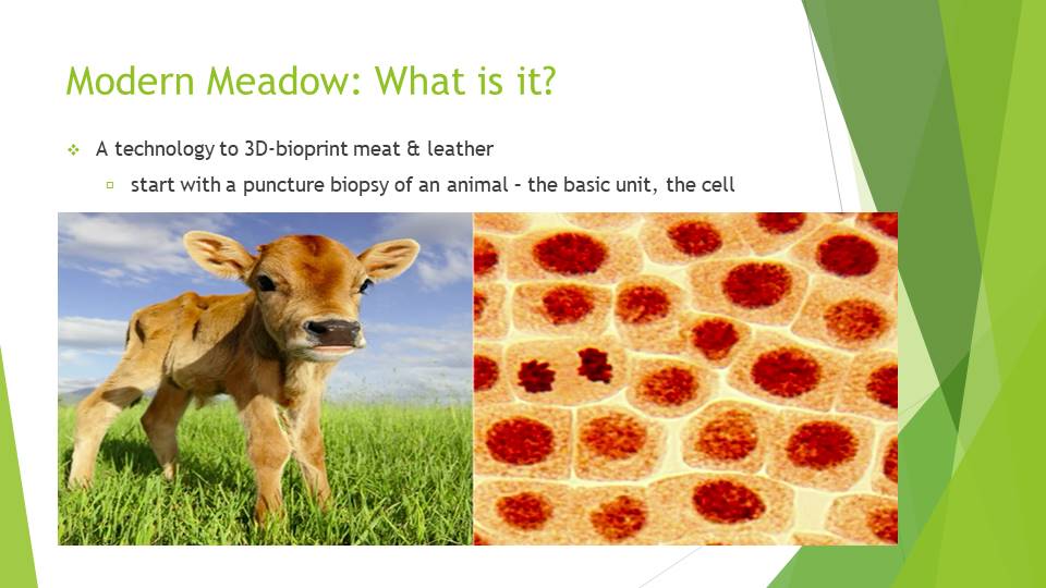 Modern Meadow: What is it?