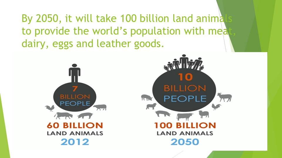 100 billion land animals to provide the world’s population with meat, dairy, eggs and leather goods