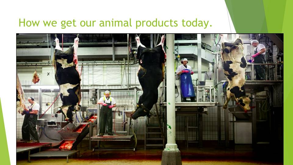 How we get our animal products today.
