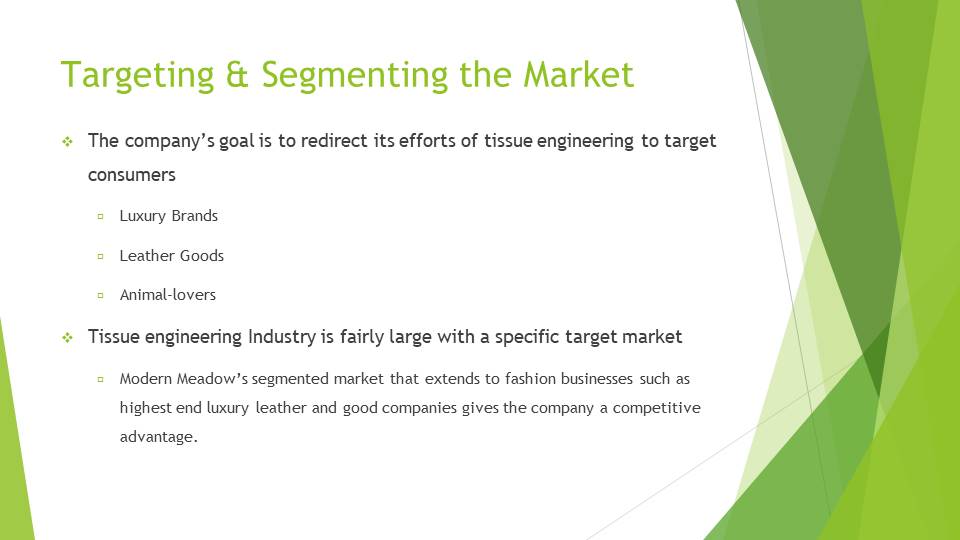 Targeting & Segmenting the Market