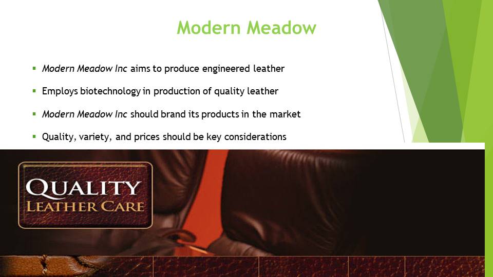 Modern Meadow