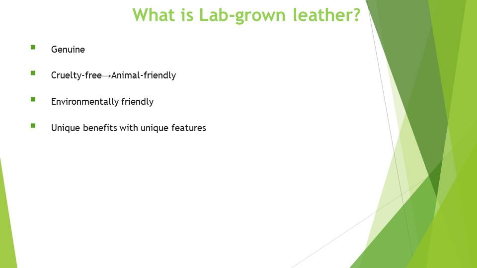 What is Lab-grown leather?