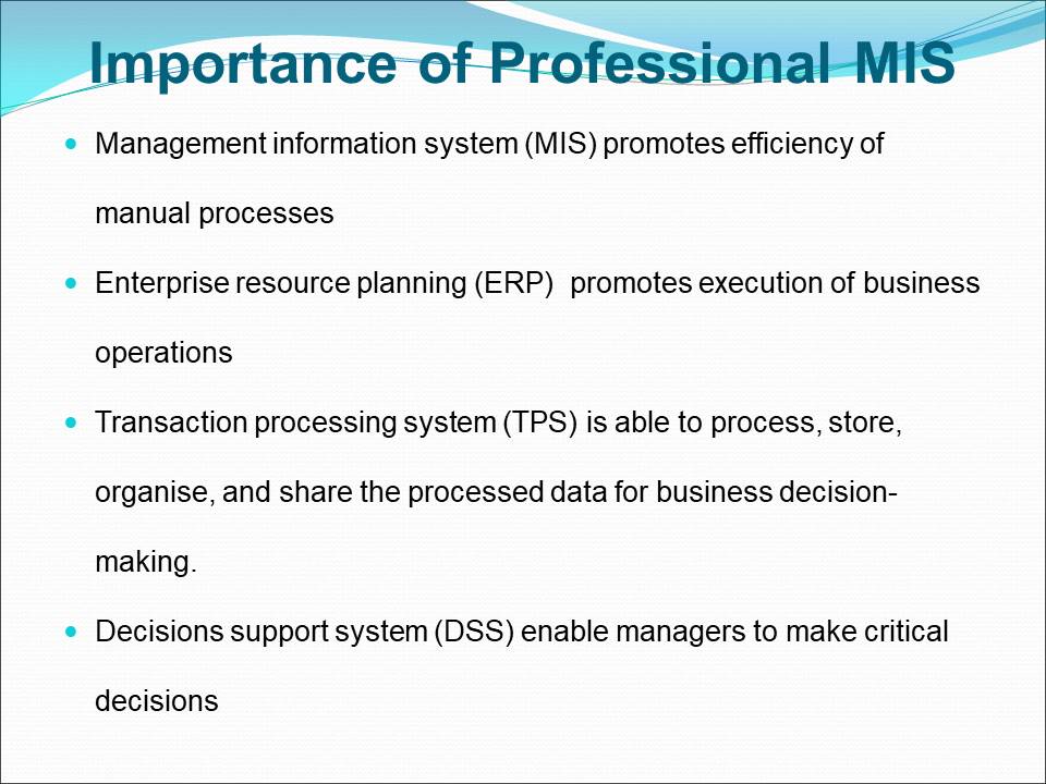 Importance of Professional MIS