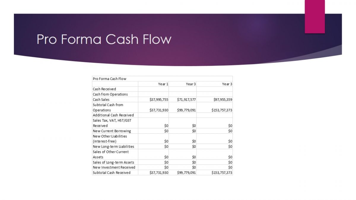 Pro Forma Cash Flow.