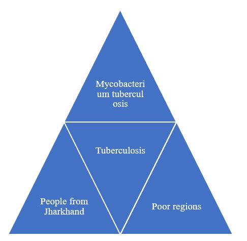 TB Epidemiological Triangle