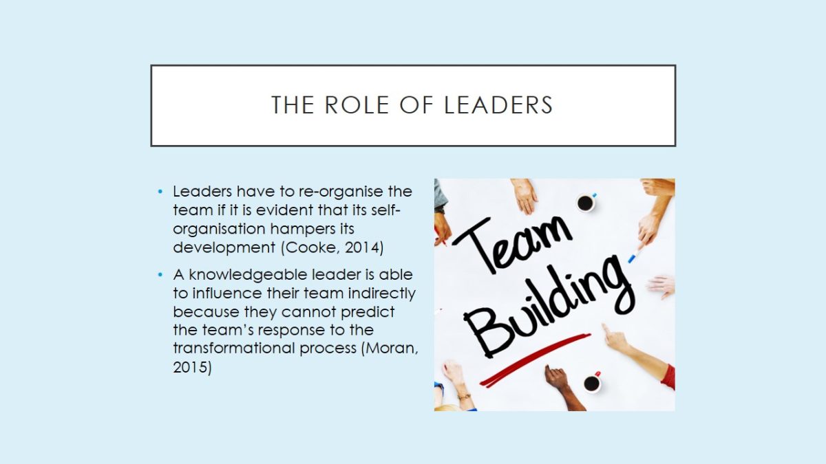 The role of leaders