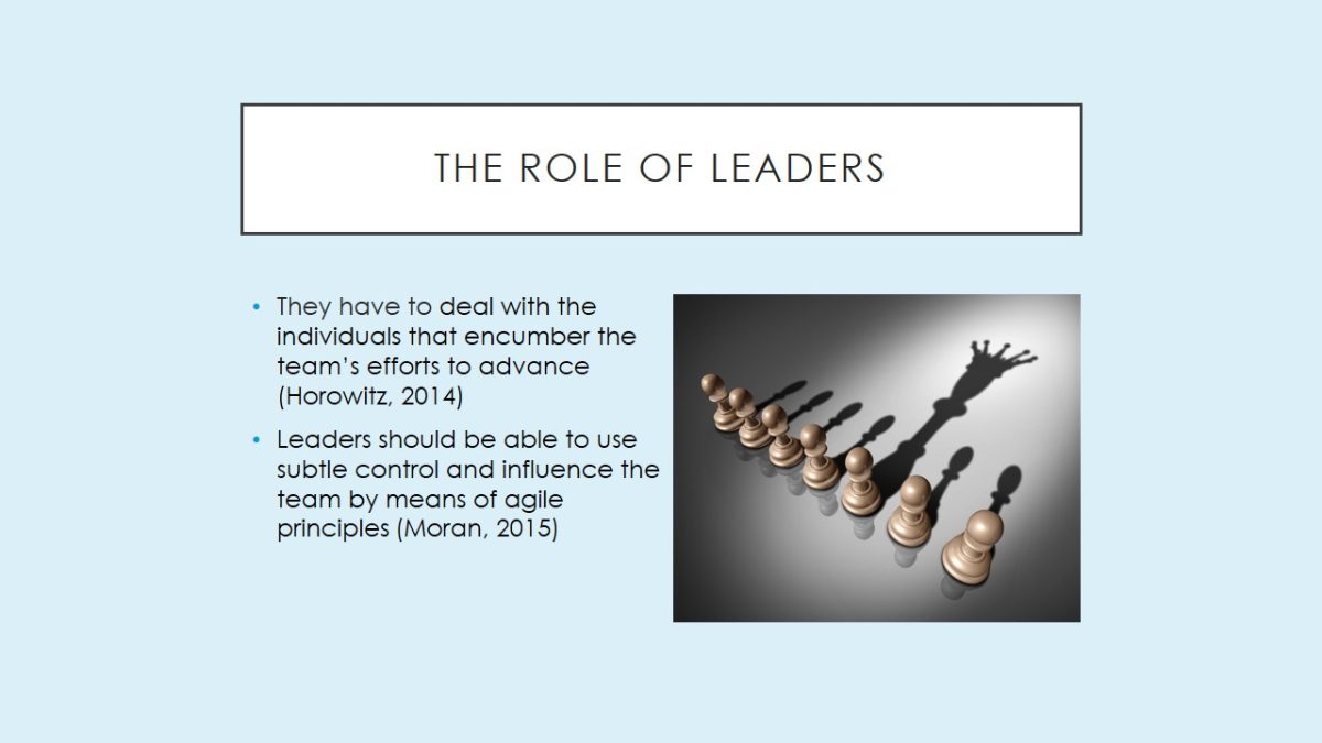 The role of leaders
