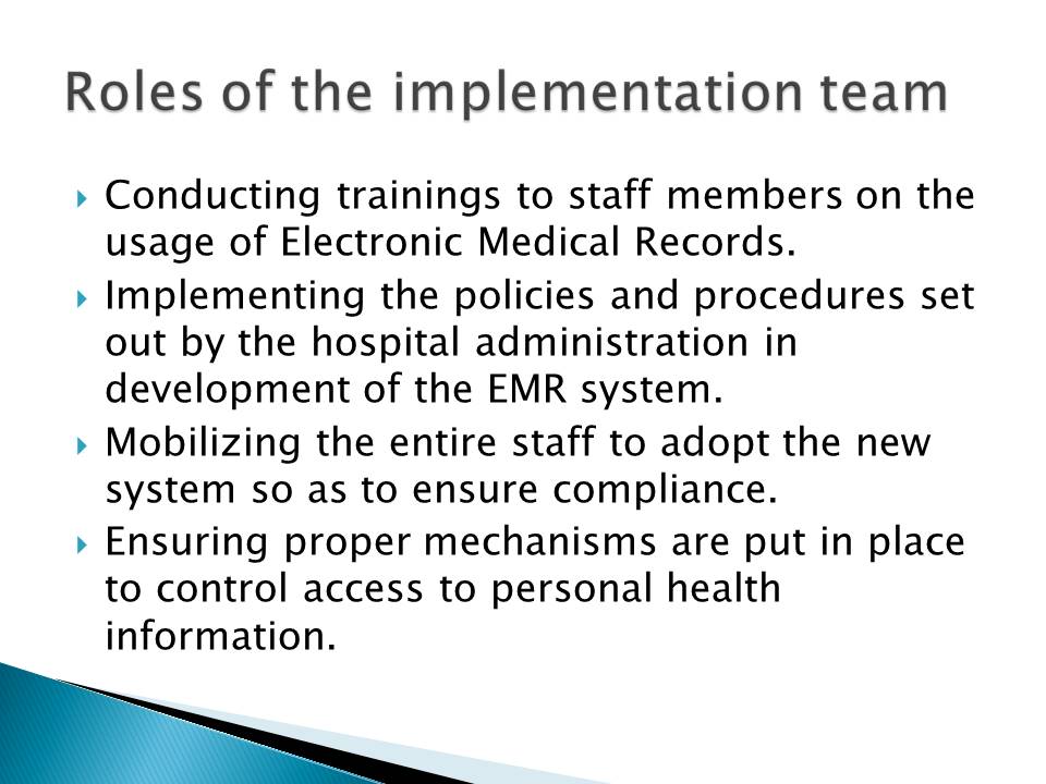 Roles of the implementation team