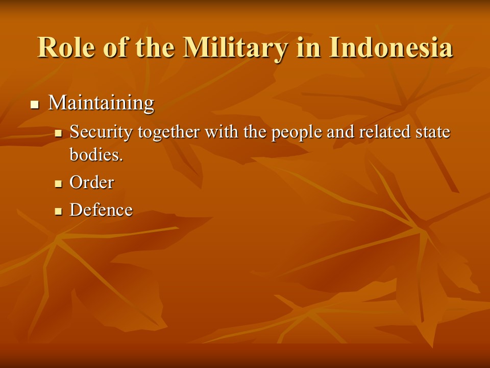 Role of the Military in Indonesia