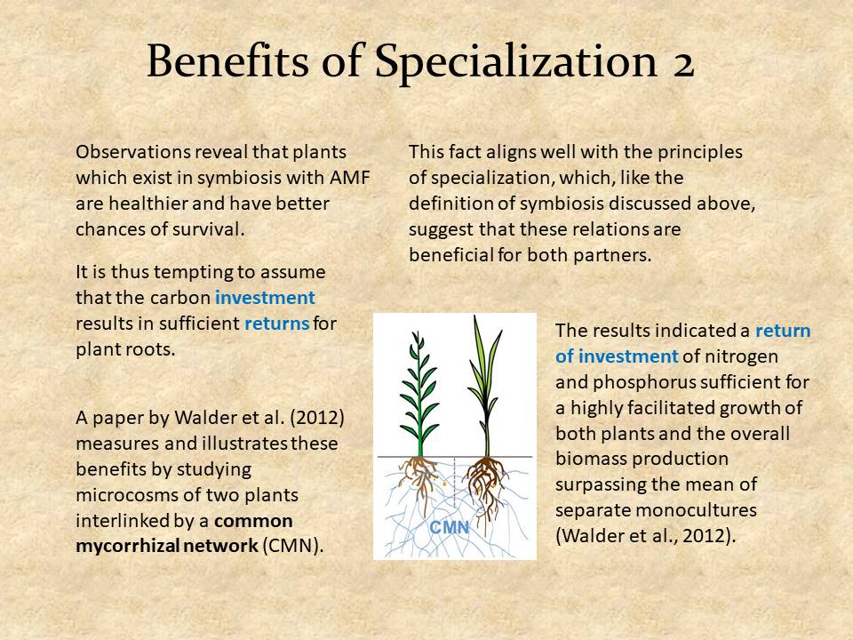 Benefits of Specialization 2