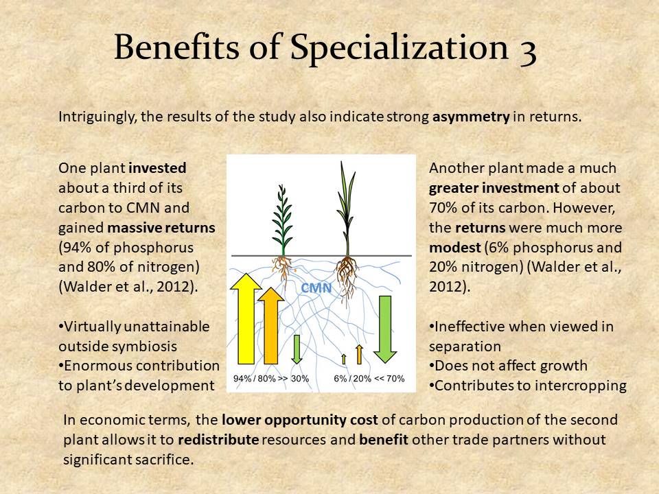 Benefits of Specialization 3