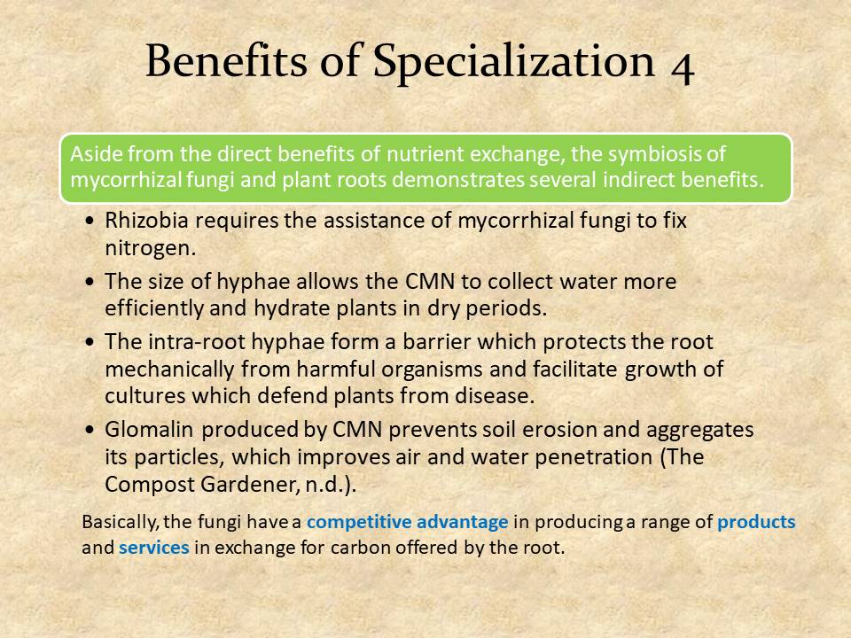 Benefits of Specialization 4