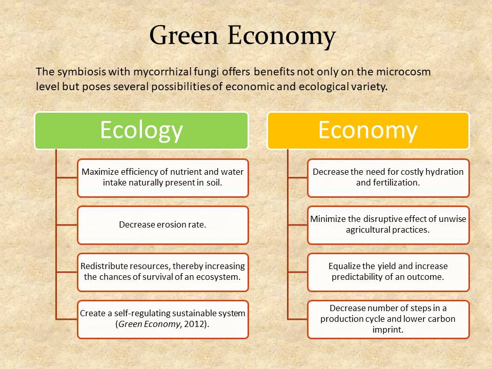 Green Economy