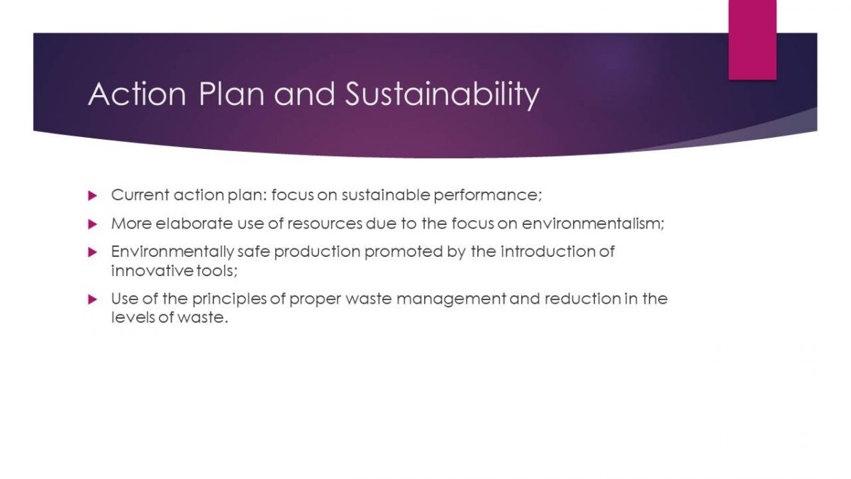 Action Plan and Sustainability