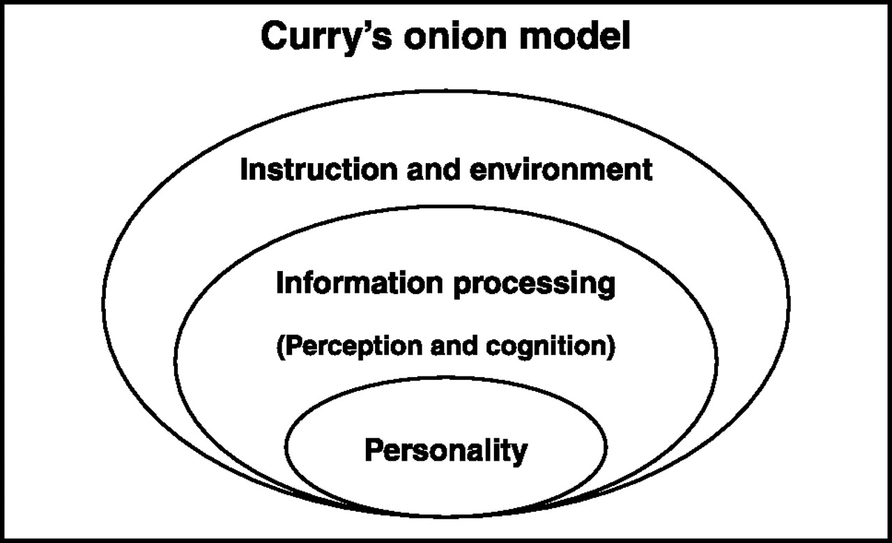 Currys onion model