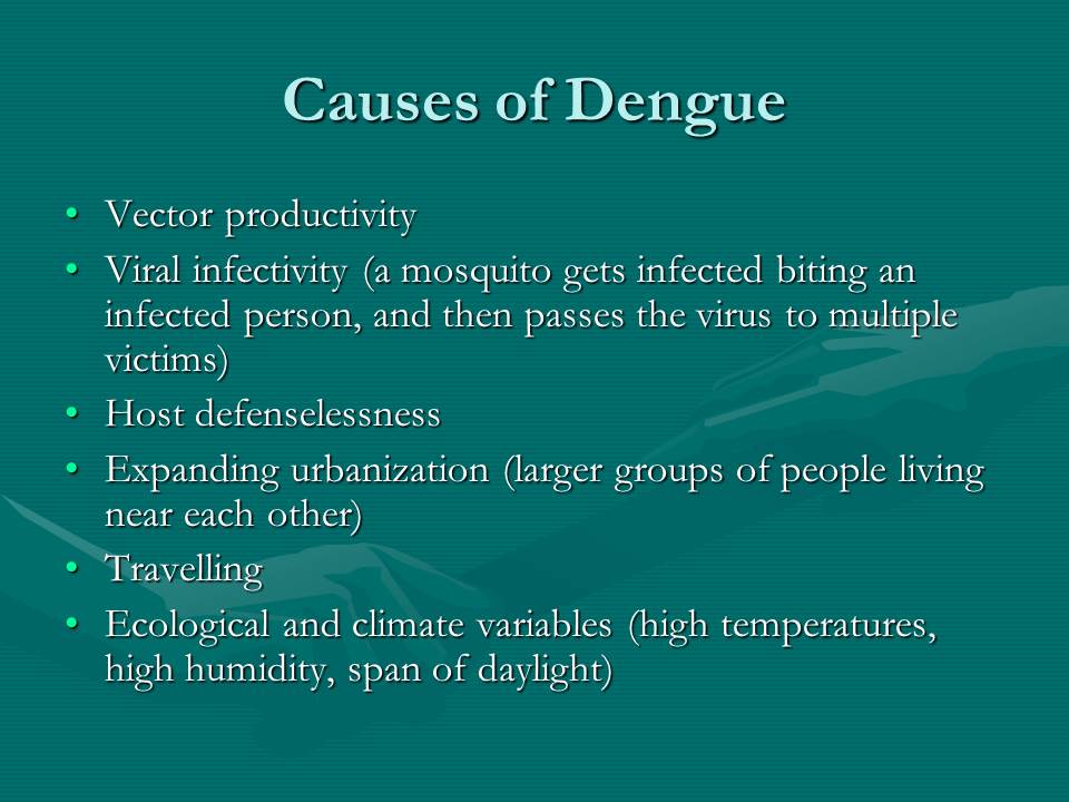 Causes of Dengue