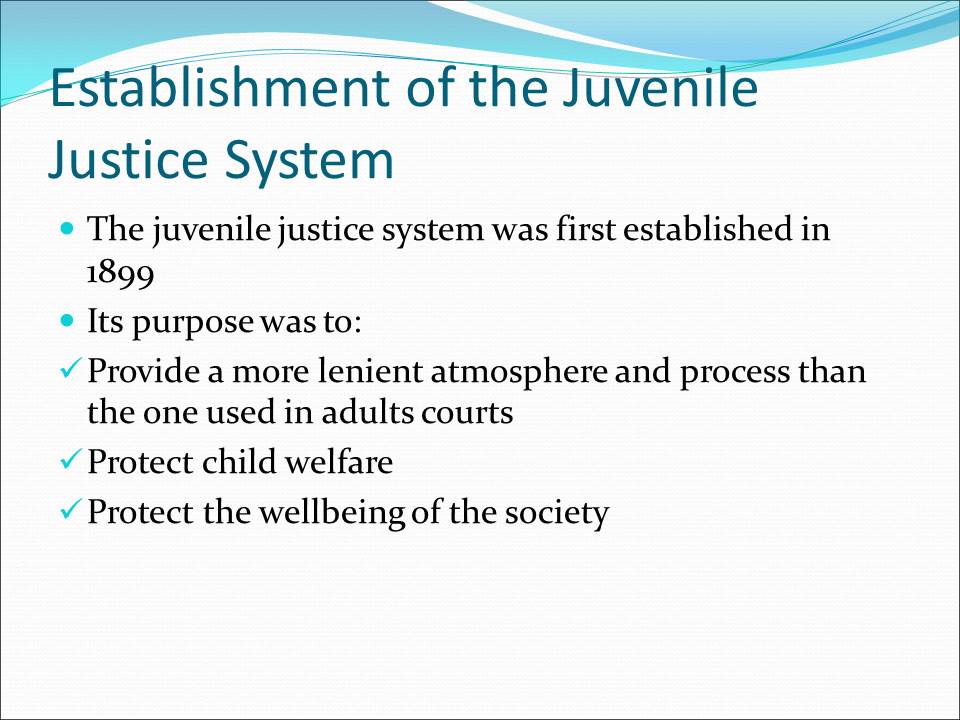 Establishment of the Juvenile Justice System
