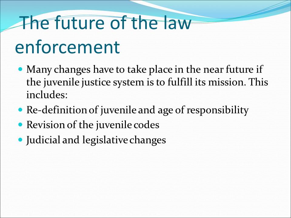The future of the law enforcement