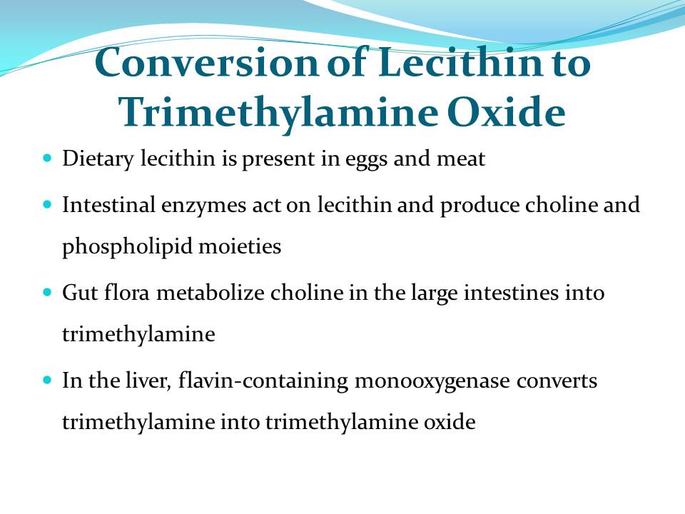 Conversion of Lecithin to Trimethylamine Oxide