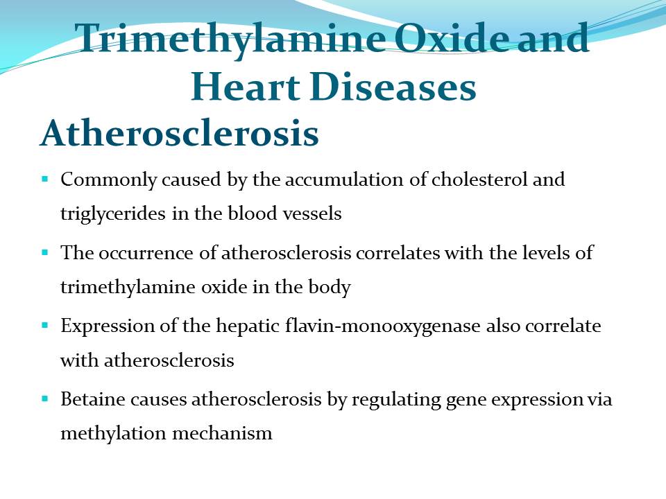 Trimethylamine Oxide and Heart Diseases
