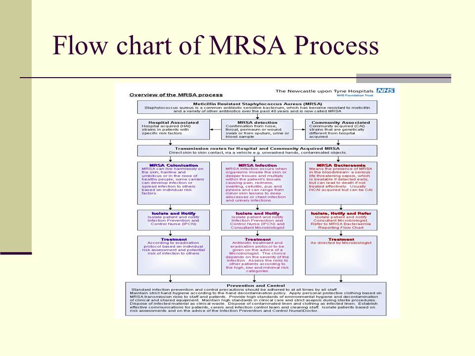 Flow chart of MRSA Process