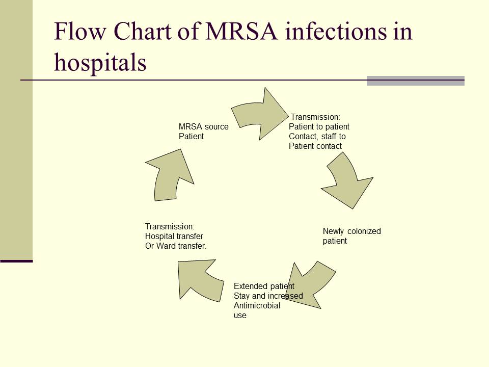 Flow Chart of MRSA infections in hospitals
