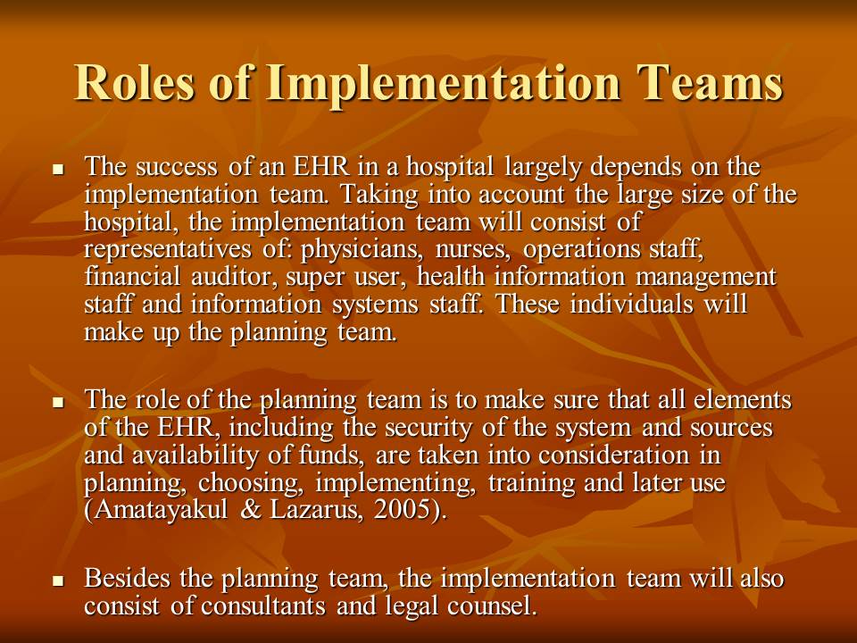 Roles of Implementation Teams