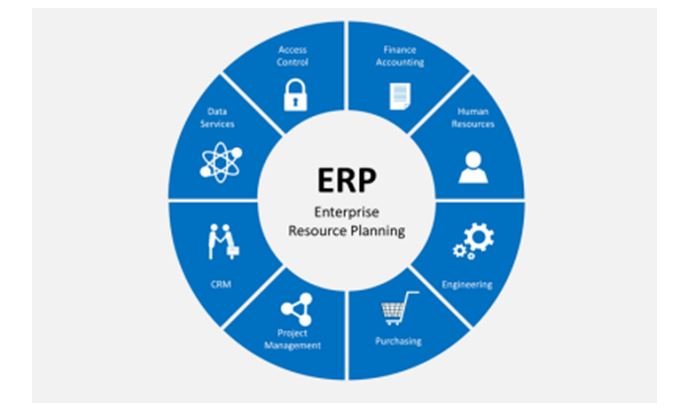 Enterprise Resource Planning Processes 