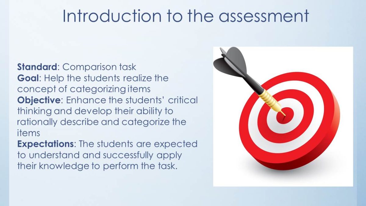 Introduction to the assessment