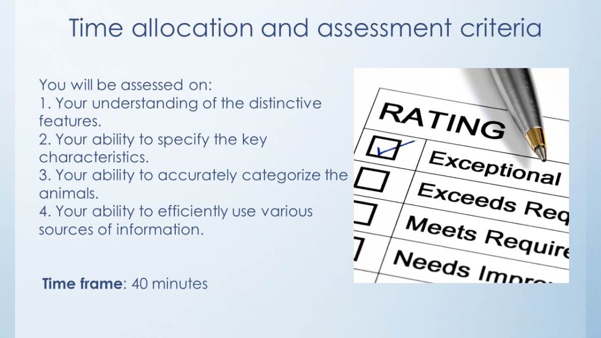 Time allocation and assessment criteria