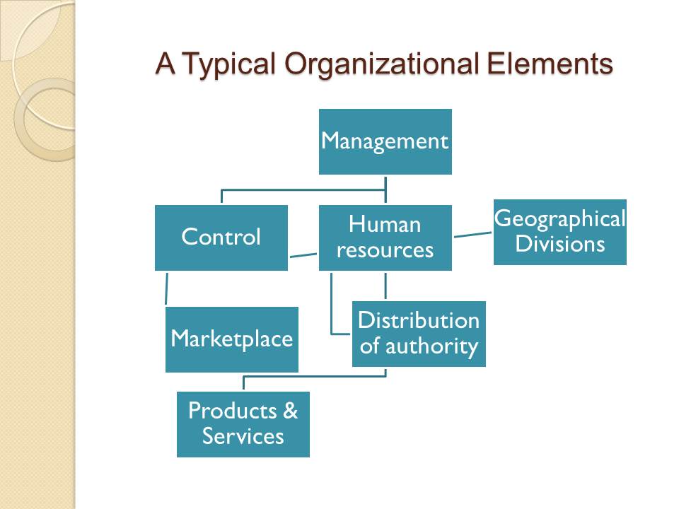 A Typical Organizational Elements