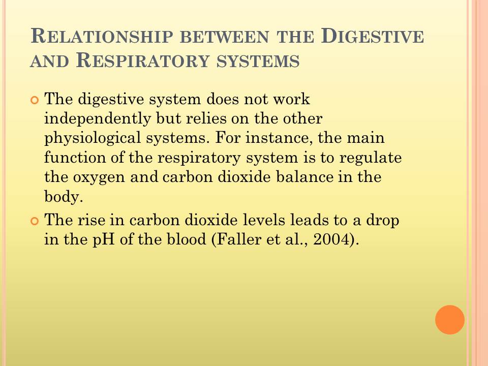 Relationship between the Digestive and Respiratory systems