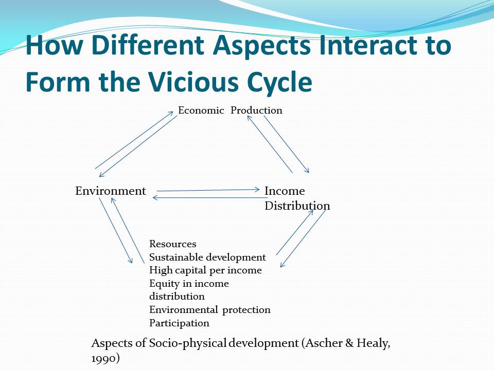 How Different Aspects Interact to Form the Vicious Cycle