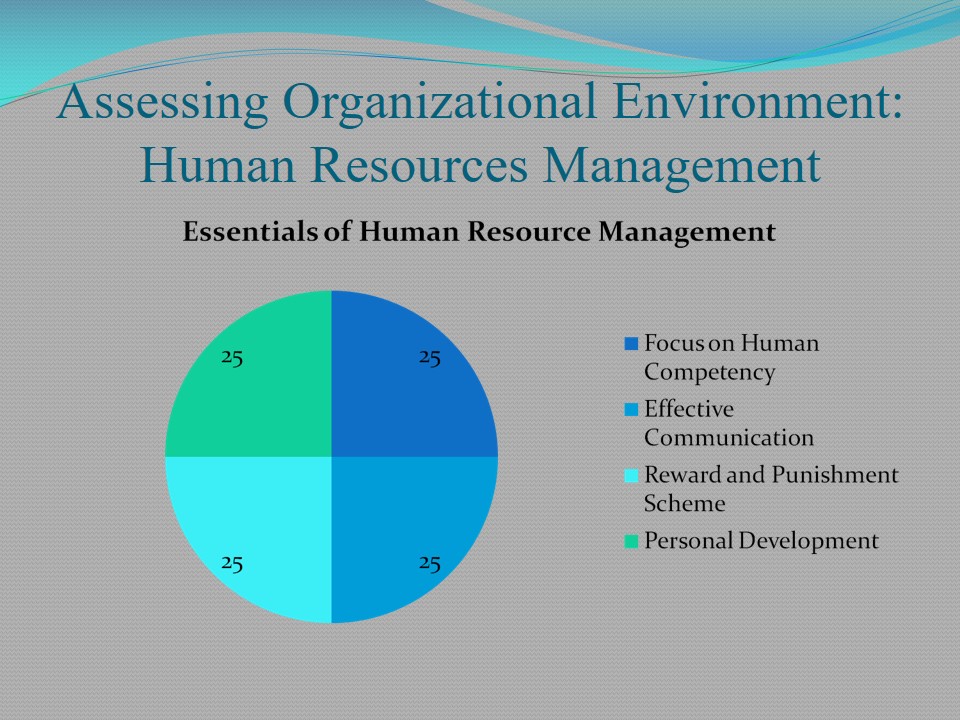 Assessing Organizational Environment: Human Resources Management