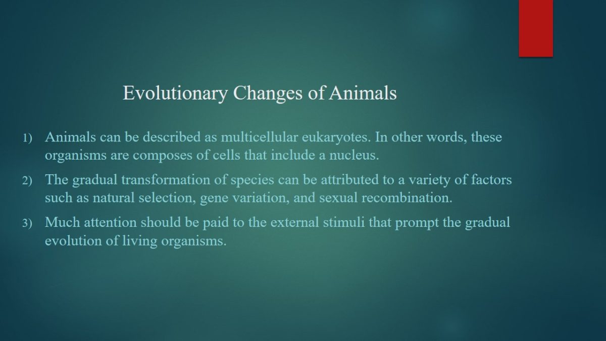 Evolutionary Changes of Animals