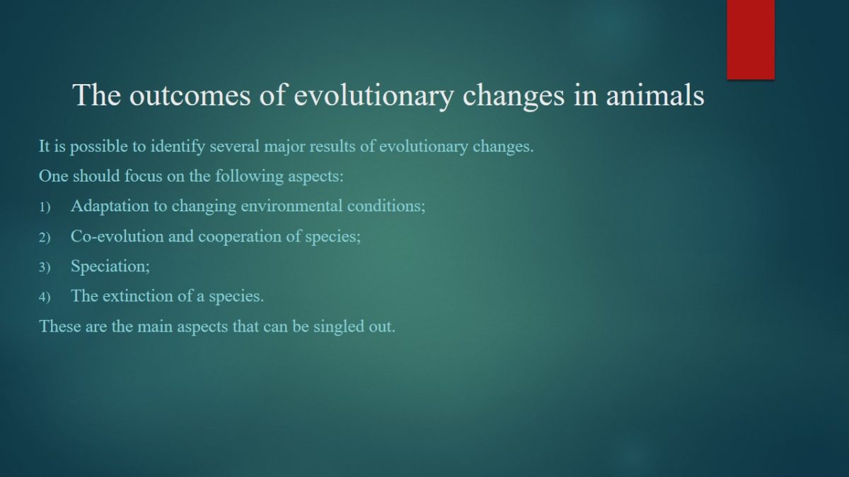 The outcomes of evolutionary changes in animals