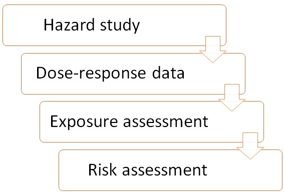 Risk Assessment in Toxicology