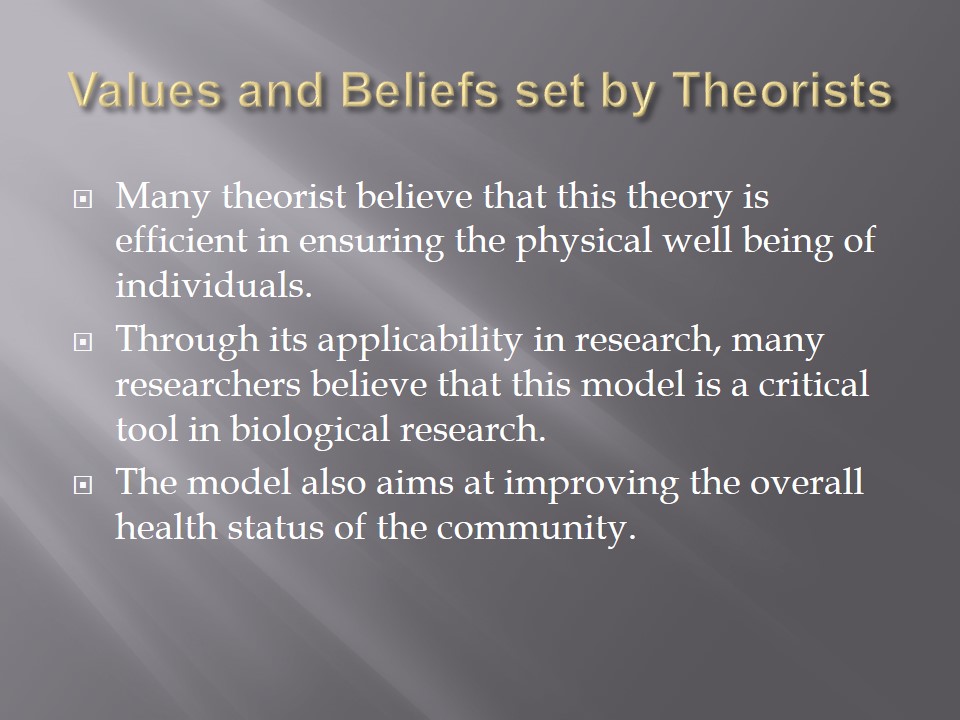 Values and Beliefs set by Theorists