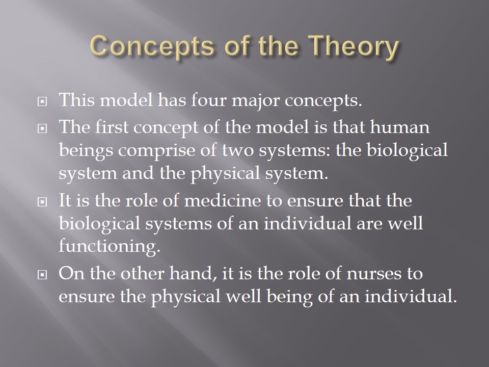 Concepts of the Theory