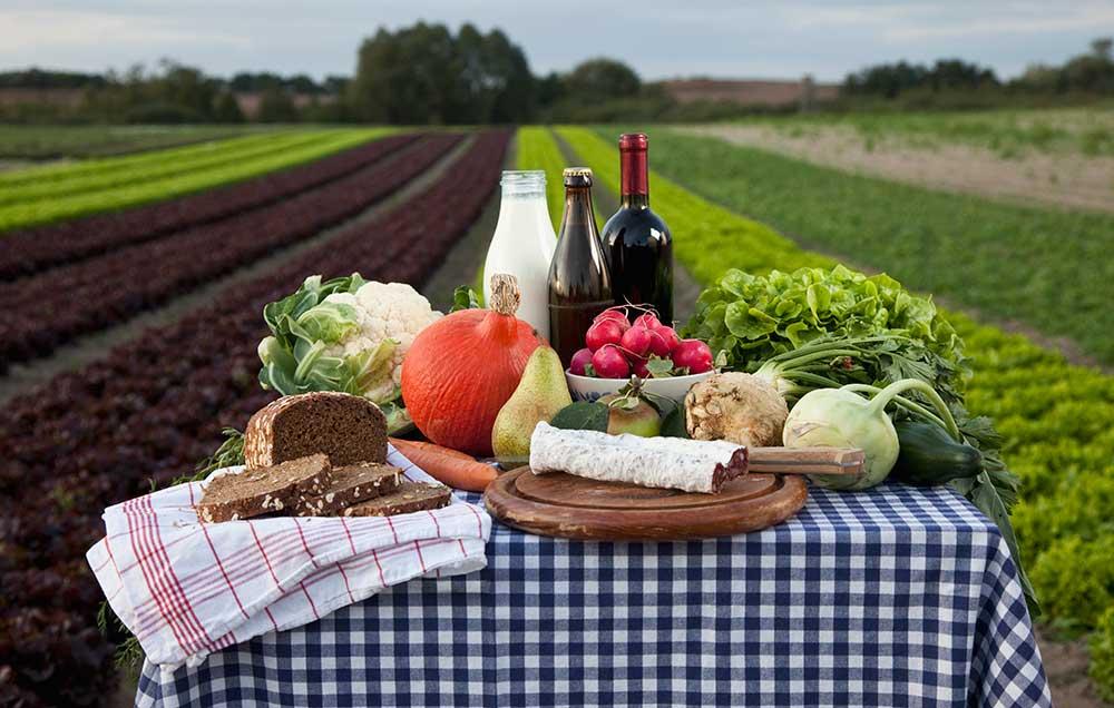 Farm-to-Table Food: Dissemination Portfolio