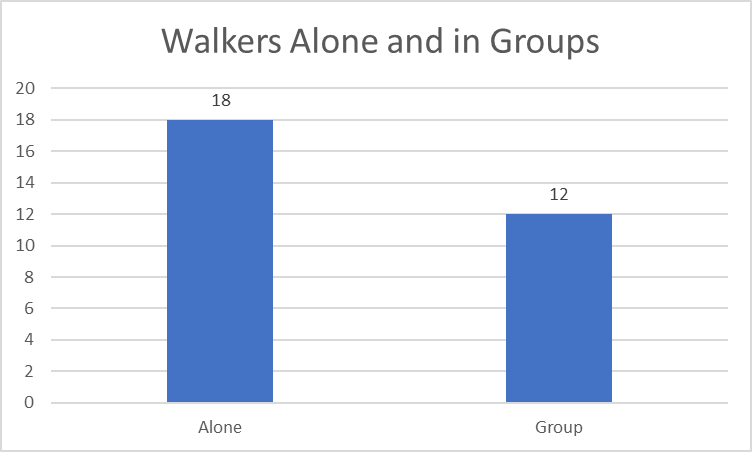 A column diagram with the numbers of people walking alone and in groups