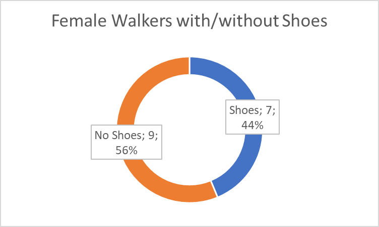 A doughnut chart: women with and without shoes