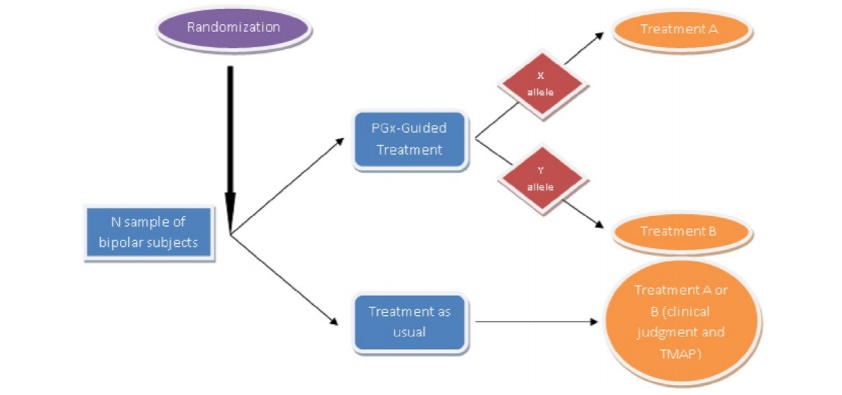 The pharmacogenetics implementation model