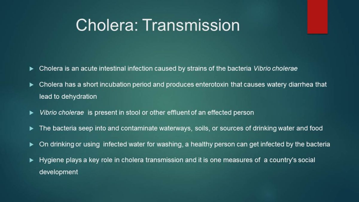 Cholera: Transmission
