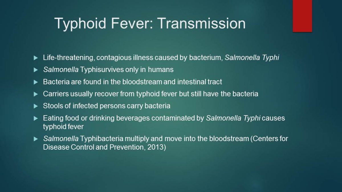 Typhoid Fever: Transmission